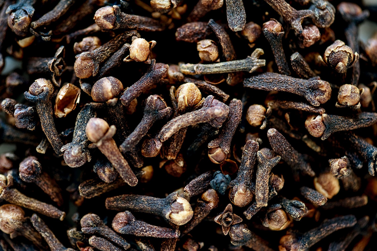 Indonesian Clove Export Supplier